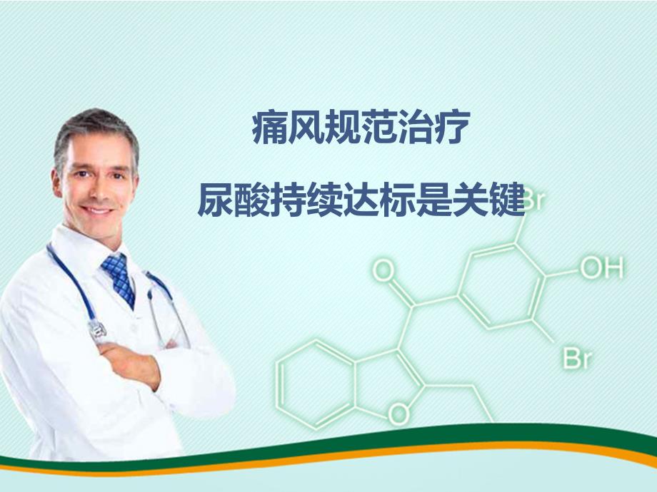 痛风规范治疗尿酸持续达标是关键广州会议.pptx_第1页