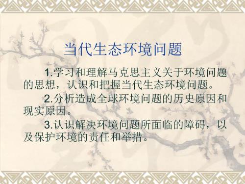 当代生态环境问题.ppt