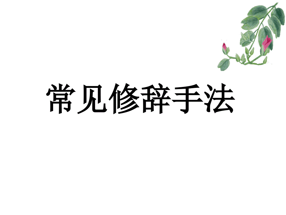 常见修辞手法PPT课件.ppt_第2页