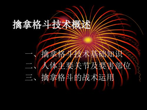 擒拿格斗擒拿格斗概述.ppt