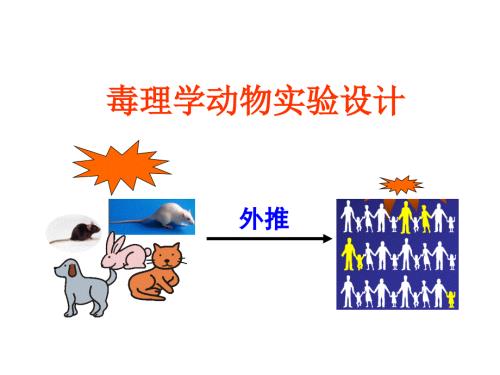 毒理学实验设计.ppt