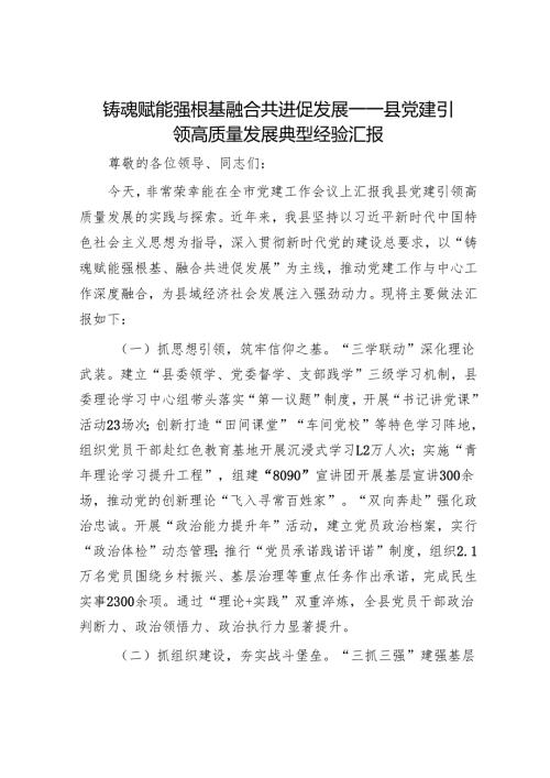铸魂赋能强根基 融合共进促发展——县党建引领高质量发展典型经验汇报.docx