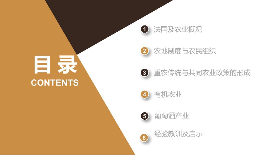 法国农业汇报PPT.ppt_第2页