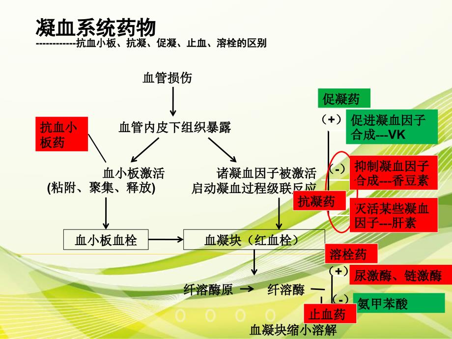 抗凝药物简介PPT课件.ppt_第2页