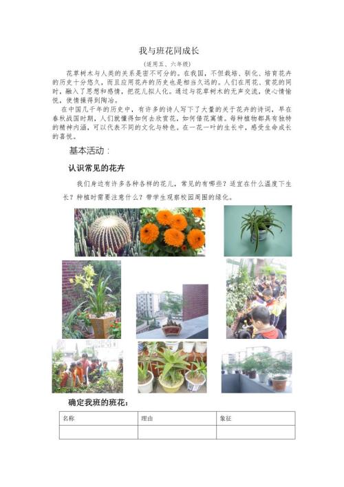 小学综合实践活动五年级我与班花同成长教学设计.doc