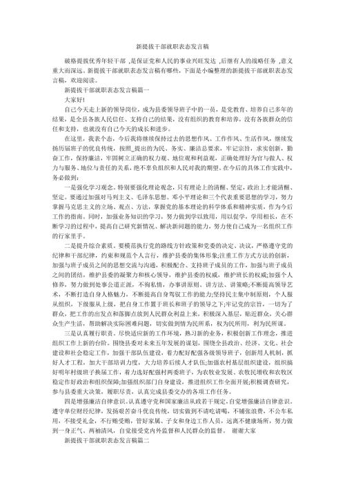 新提拔干部就职表态发言稿.docx