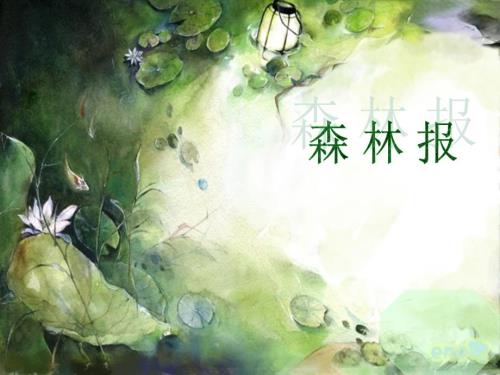 森林报课件.ppt