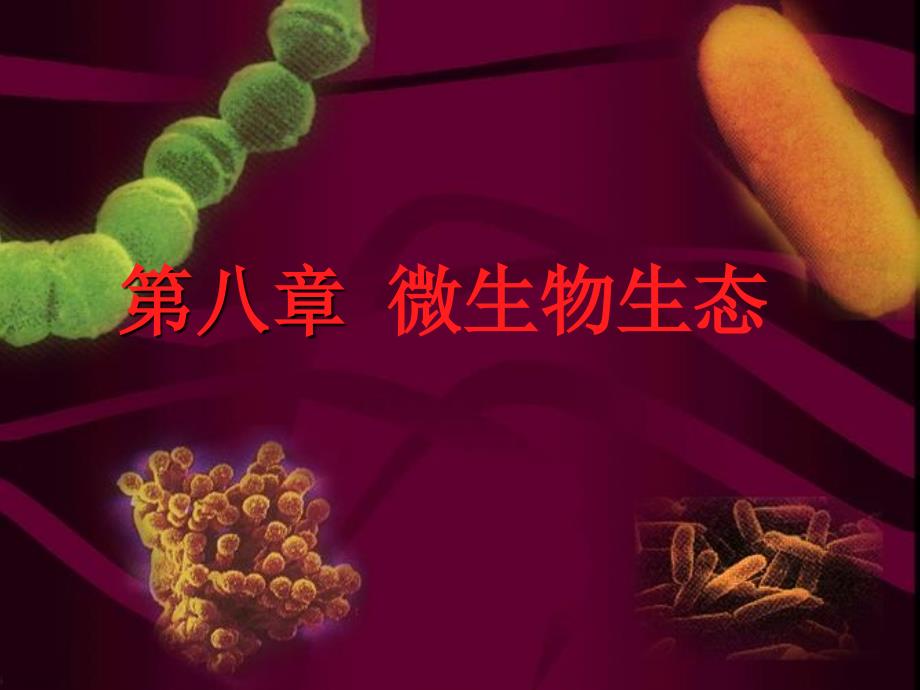 微生物生态PPT课件.ppt_第1页
