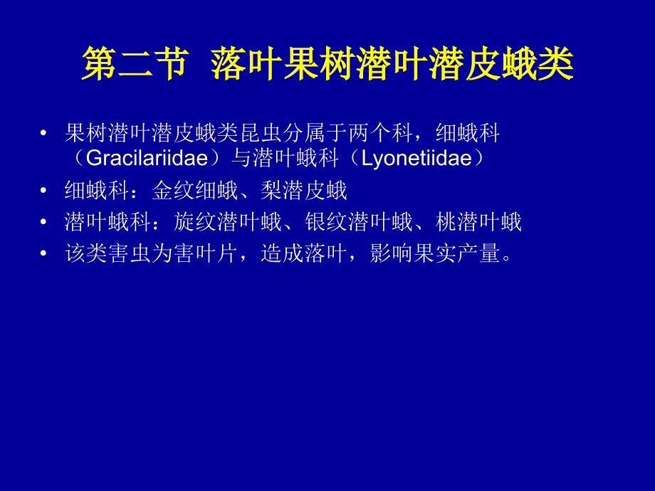 潜叶潜皮类害虫PPT课件.ppt_第1页