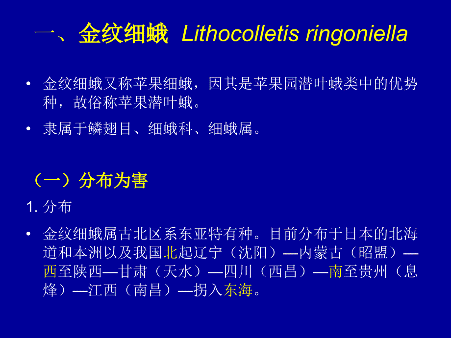 潜叶潜皮类害虫PPT课件.ppt_第2页