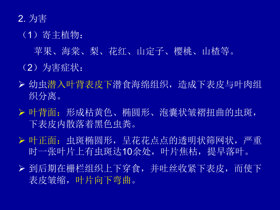潜叶潜皮类害虫PPT课件.ppt_第3页
