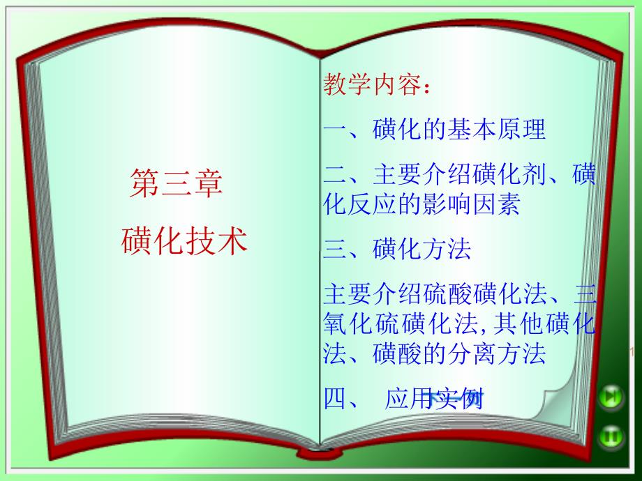 磺化技术PPT课件.ppt_第1页