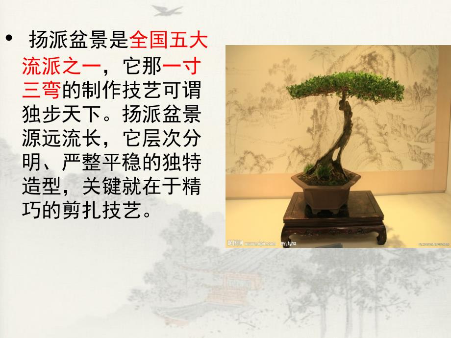 扬派盆景PPT课件.ppt_第2页