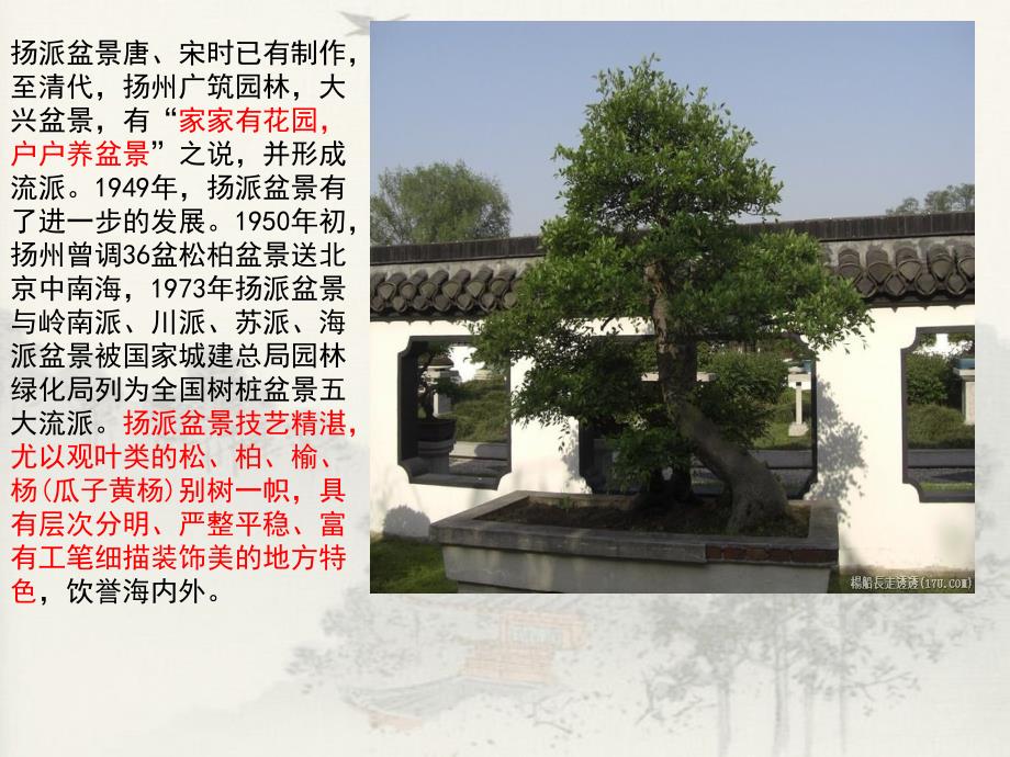 扬派盆景PPT课件.ppt_第3页