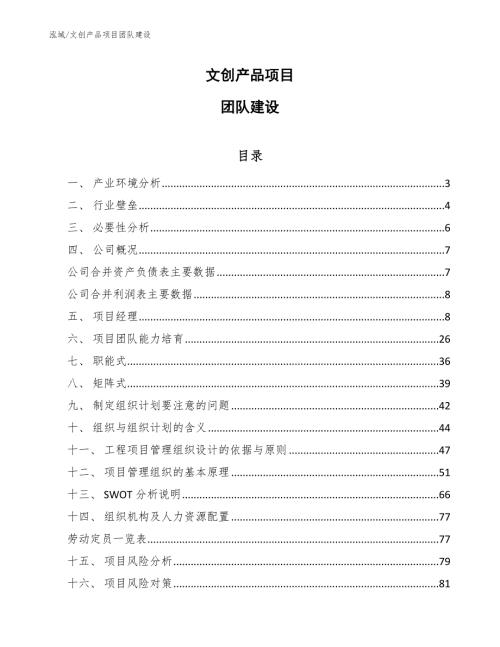 文创产品项目团队建设参考.docx