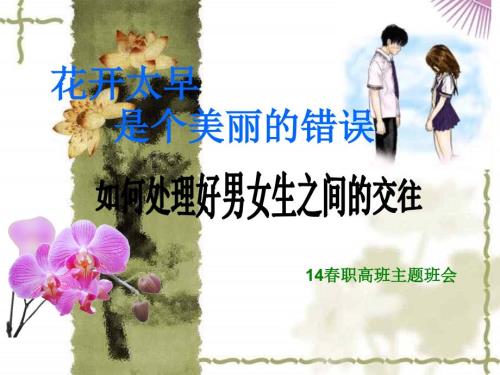 我们不早恋主题班会ppt课件.ppt