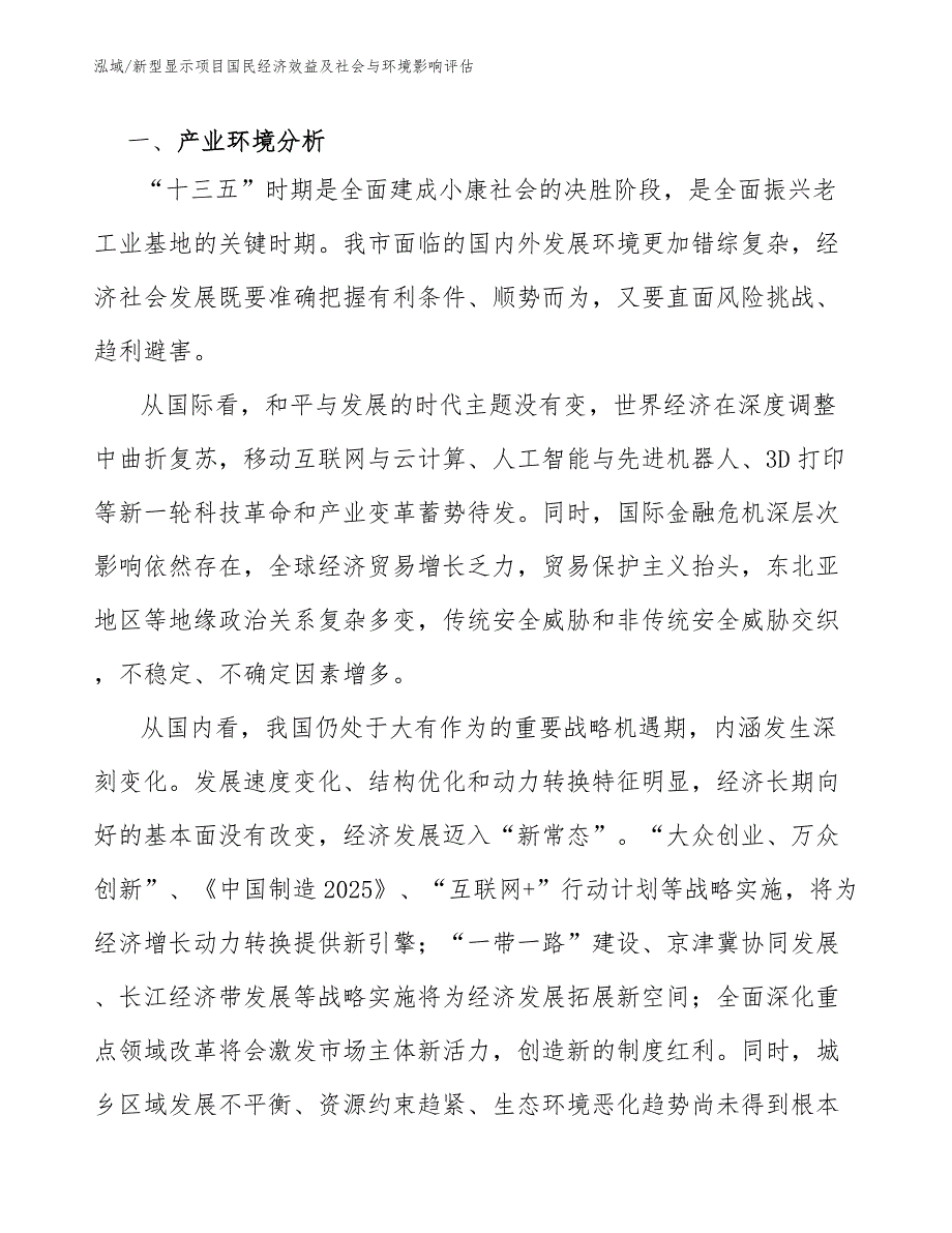 新型显示项目国民经济效益及社会与环境影响评估范文.docx_第2页