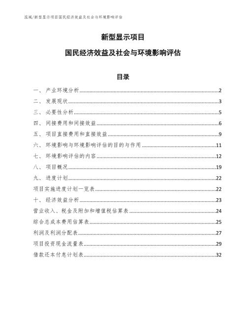 新型显示项目国民经济效益及社会与环境影响评估范文.docx
