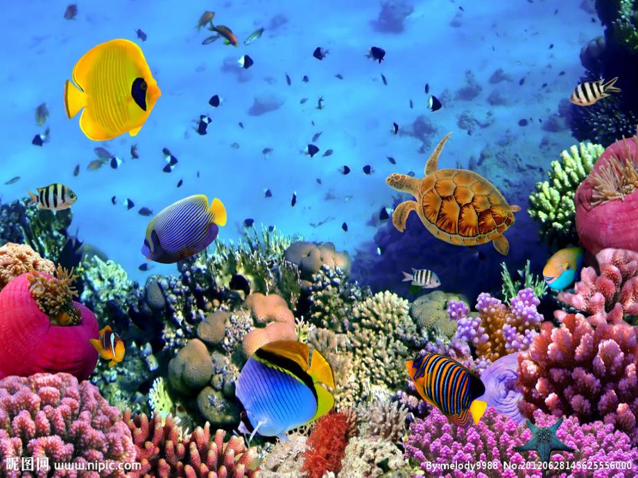 海底世界课件.ppt_第2页
