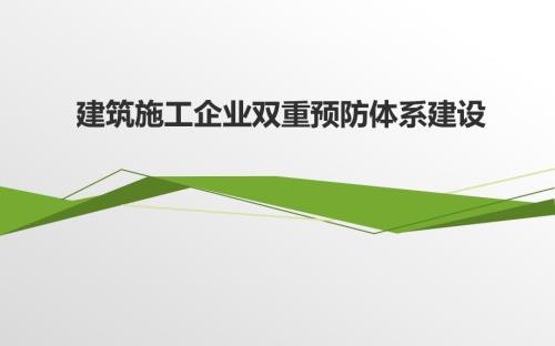 建筑施工企业双重预防体系建设.ppt