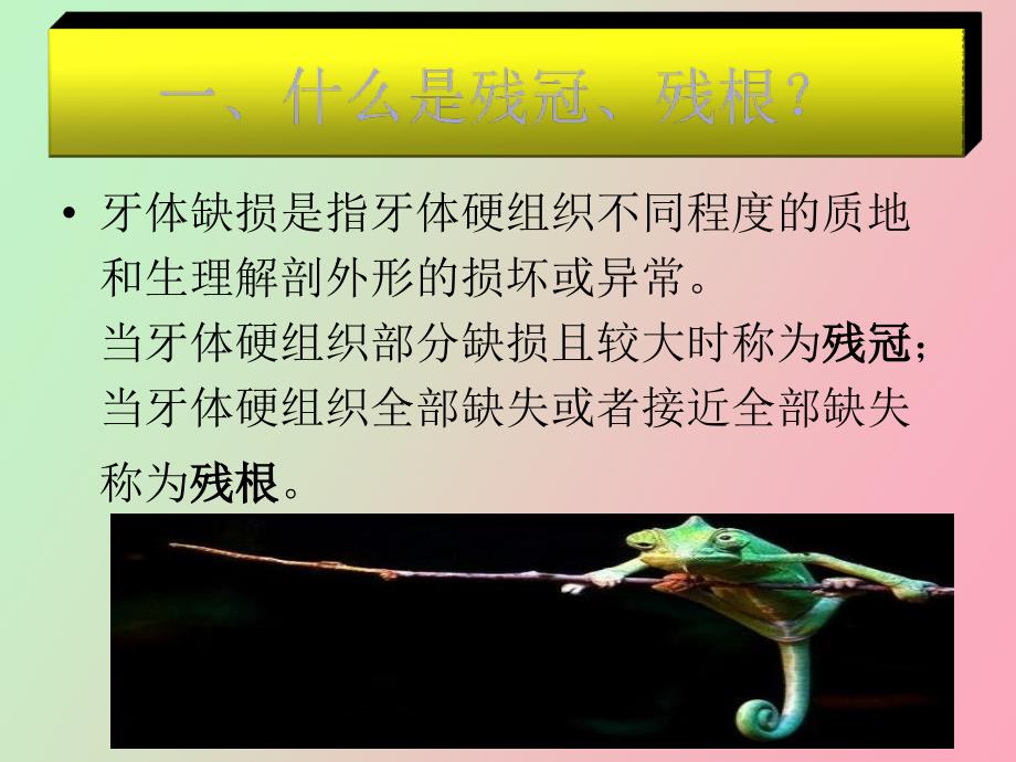 残根残冠的保留.ppt_第3页