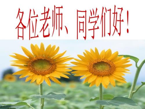 散句变整句完成.ppt