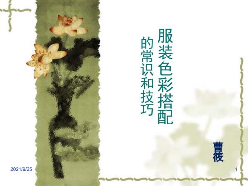 服装色彩搭配技巧免费下载.ppt