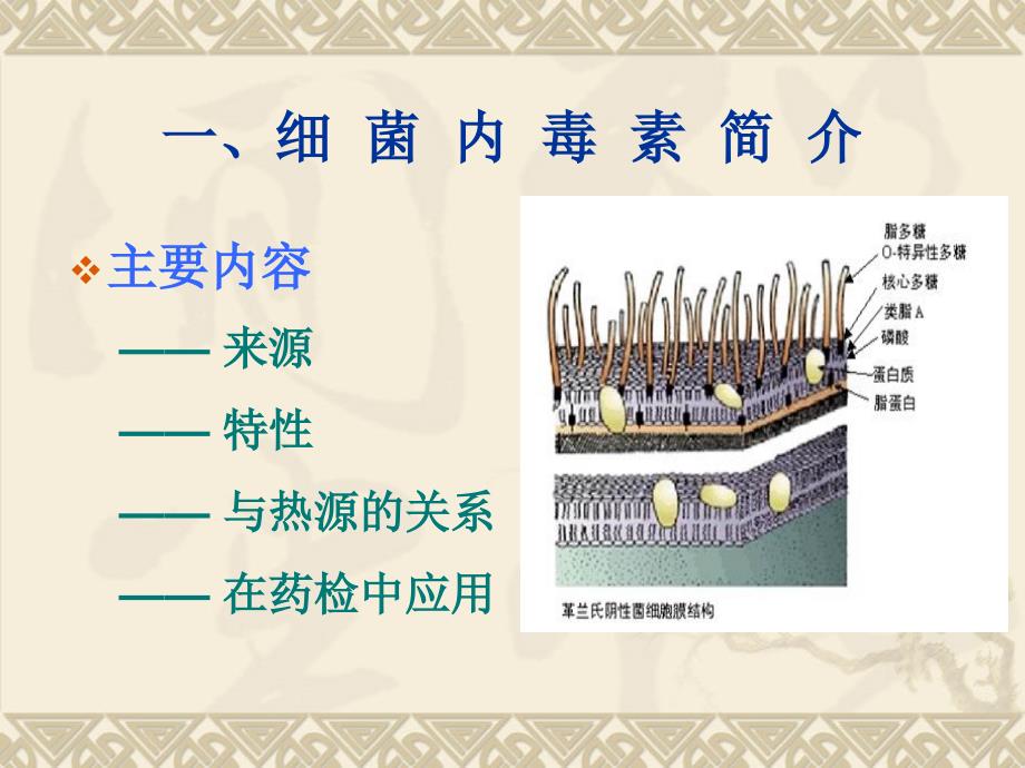 浅析细菌内毒素检测方法及常见问题资料.ppt_第3页