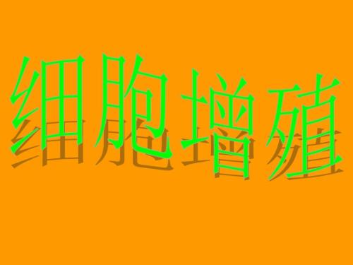 有丝分裂的过程共26张PPT.ppt