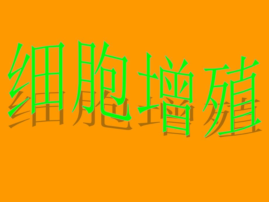 有丝分裂的过程共26张PPT.ppt_第1页