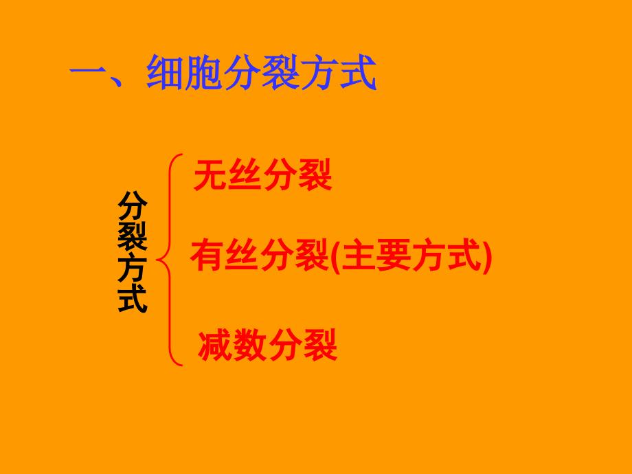 有丝分裂的过程共26张PPT.ppt_第3页