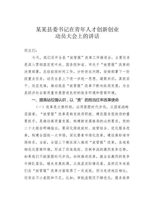 某某县委书记在青年人才创新创业动员大会上的讲话.docx