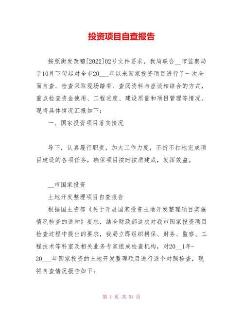 投资项目自查报告.doc