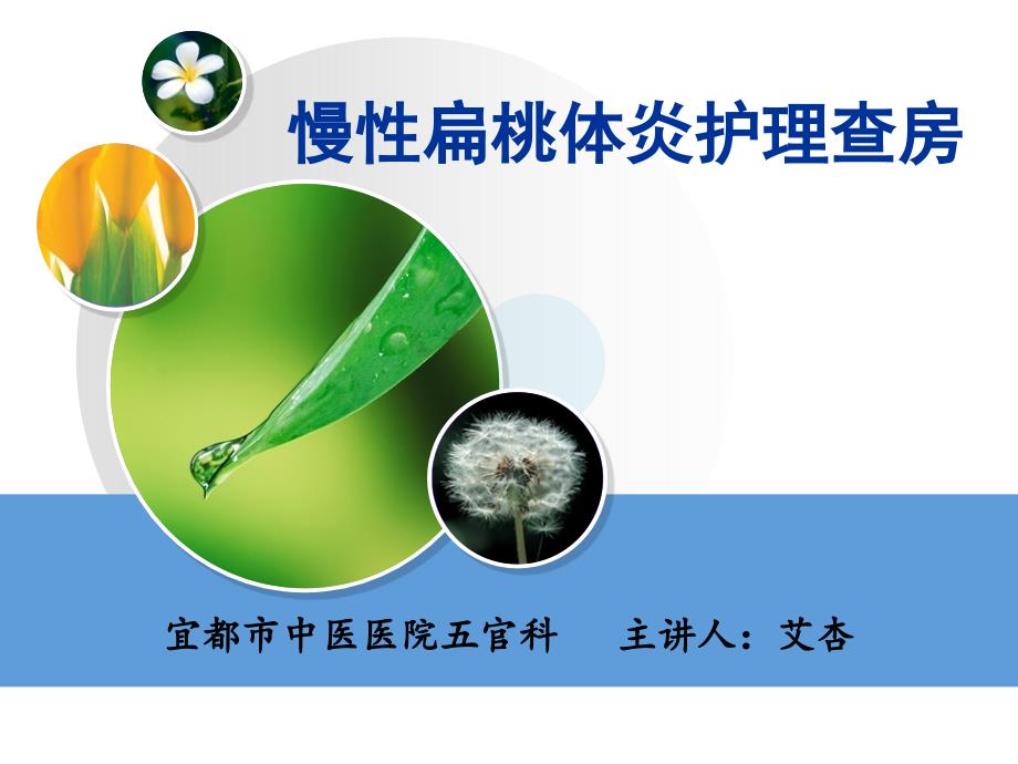 慢性扁桃体炎护理查房ppt课件.ppt_第1页