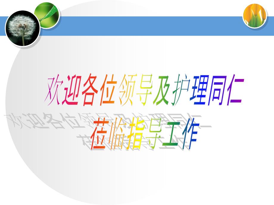 慢性扁桃体炎护理查房ppt课件.ppt_第2页