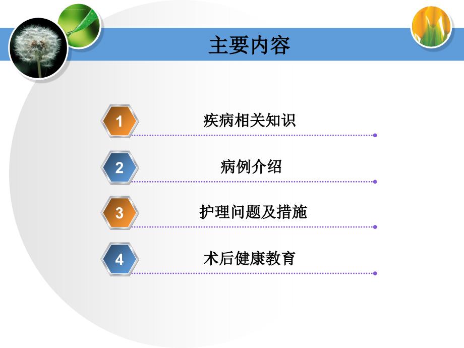 慢性扁桃体炎护理查房ppt课件.ppt_第3页