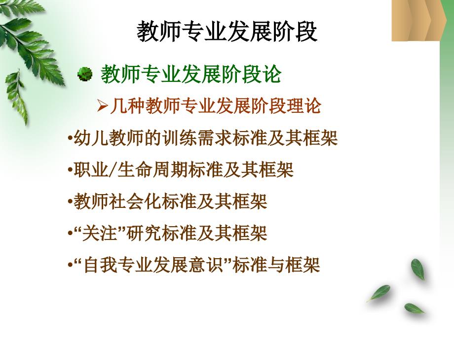 幼儿教师专业发展过程.ppt_第2页