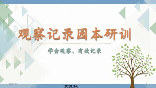 幼儿园园本研训之观察记录的撰写培训课件.pptx