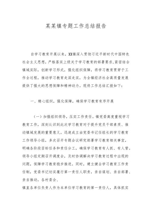 某某镇专题工作总结报告.docx