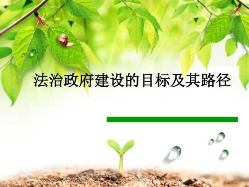 法治政府建设PPT精选文档.ppt