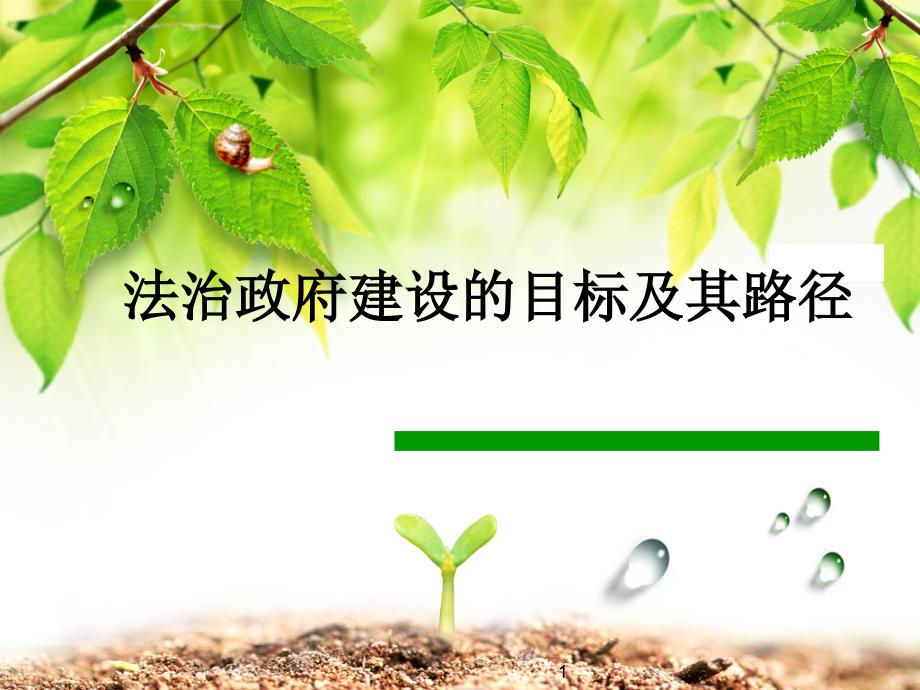 法治政府建设PPT精选文档.ppt_第1页