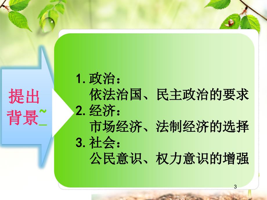 法治政府建设PPT精选文档.ppt_第3页
