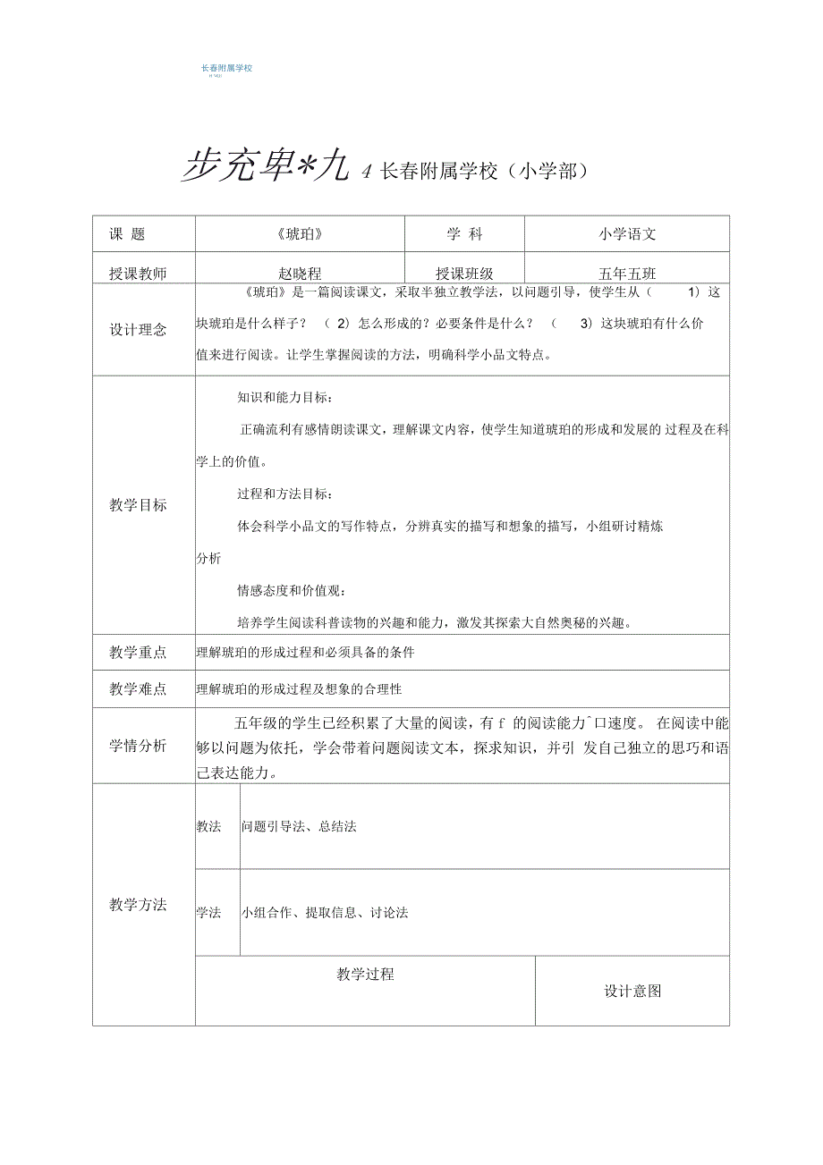 琥珀优秀教案设计.docx_第2页