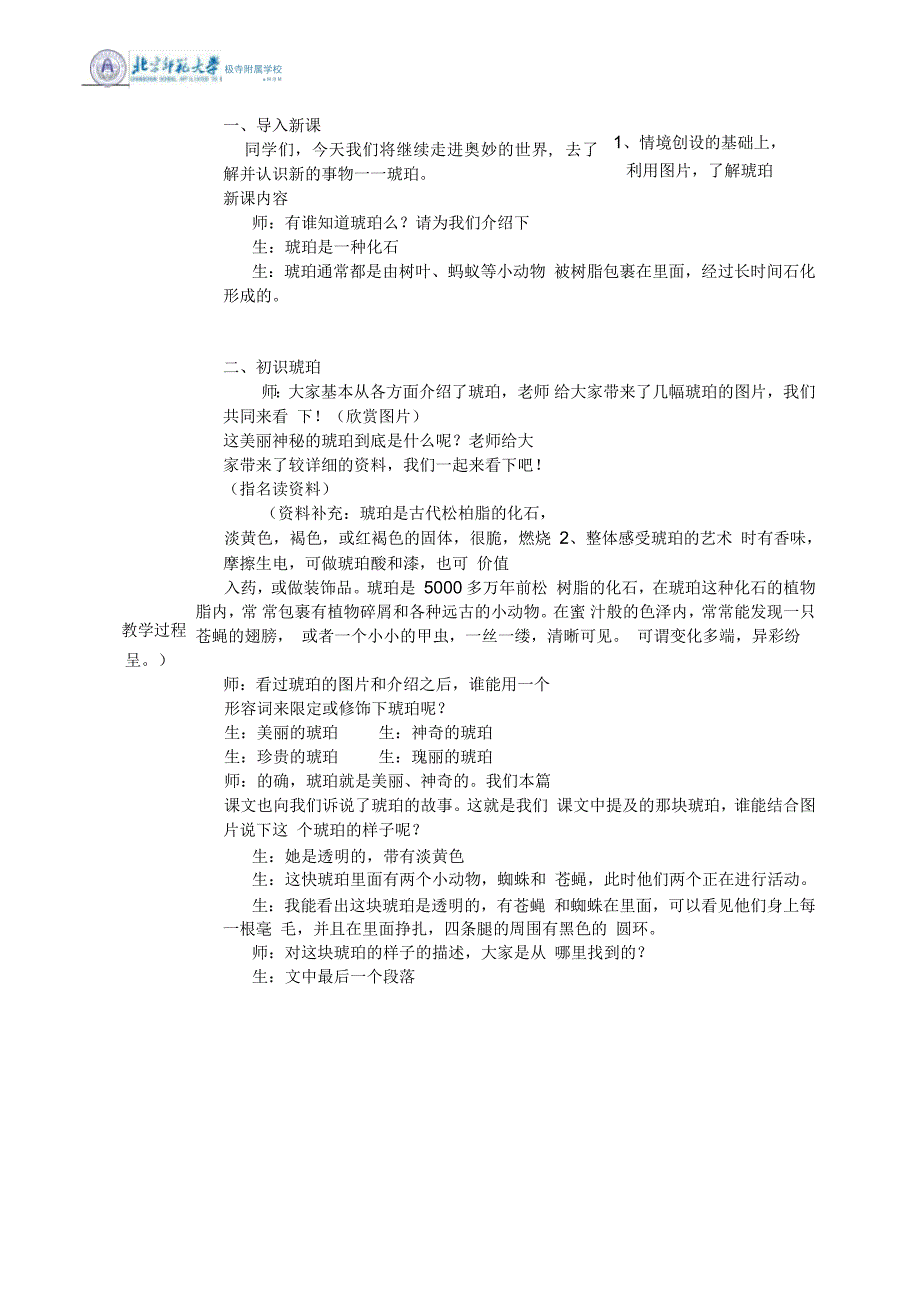 琥珀优秀教案设计.docx_第3页