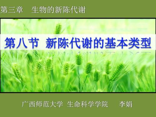新陈代谢的基本类型.pptx