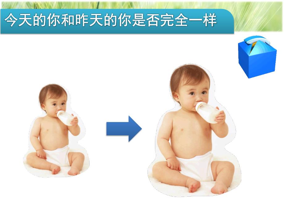 新陈代谢的基本类型.pptx_第2页