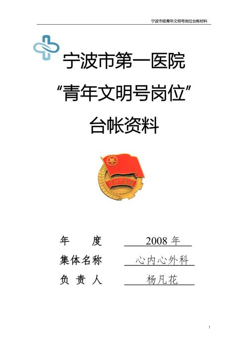 市级青年文明号电子台帐十病区doc宁波市第一医院.docx