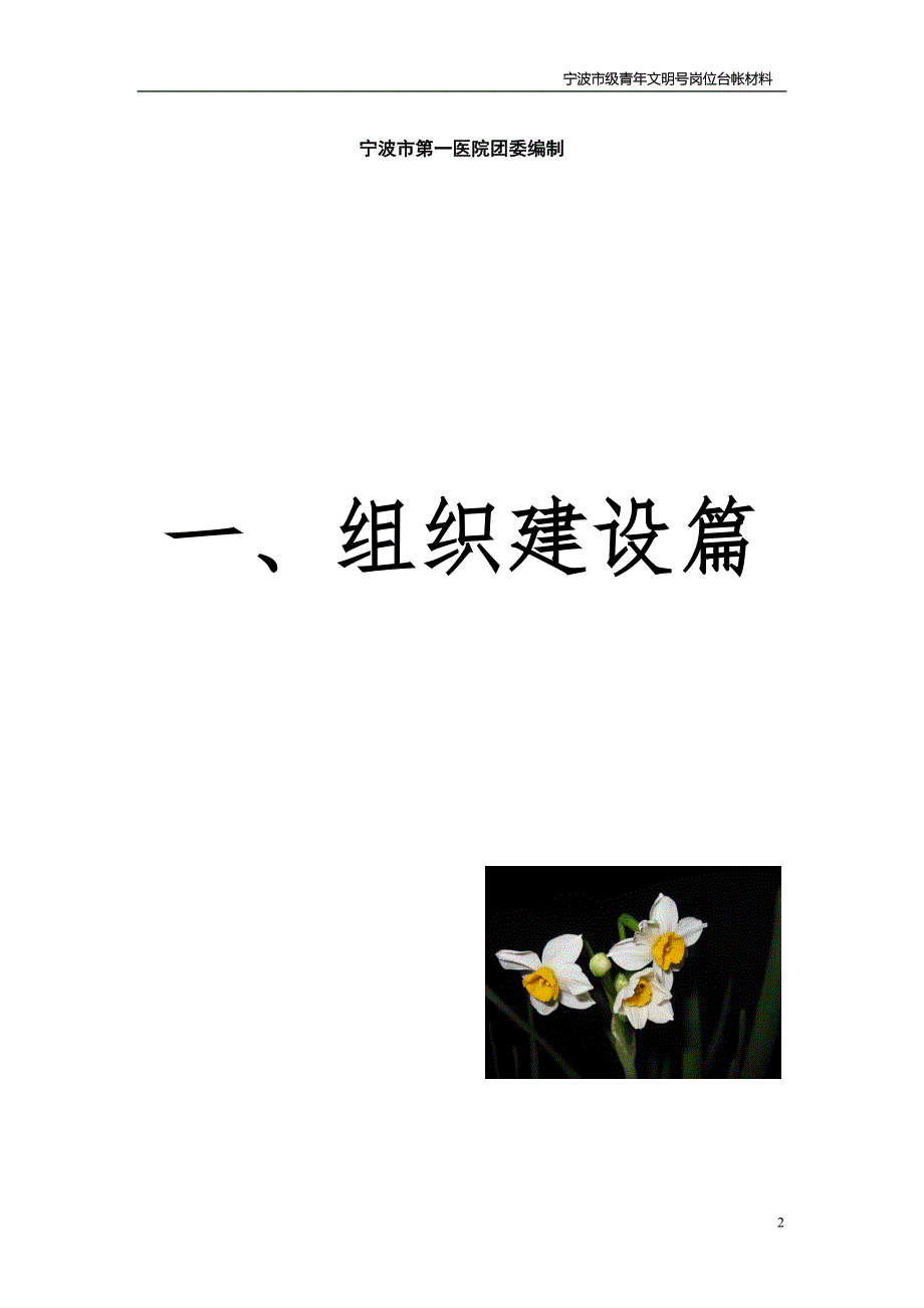 市级青年文明号电子台帐十病区doc宁波市第一医院.docx_第2页