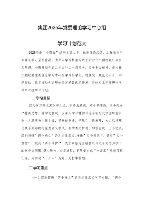 集团2025年党委理论学习中心组学习计划范文.docx