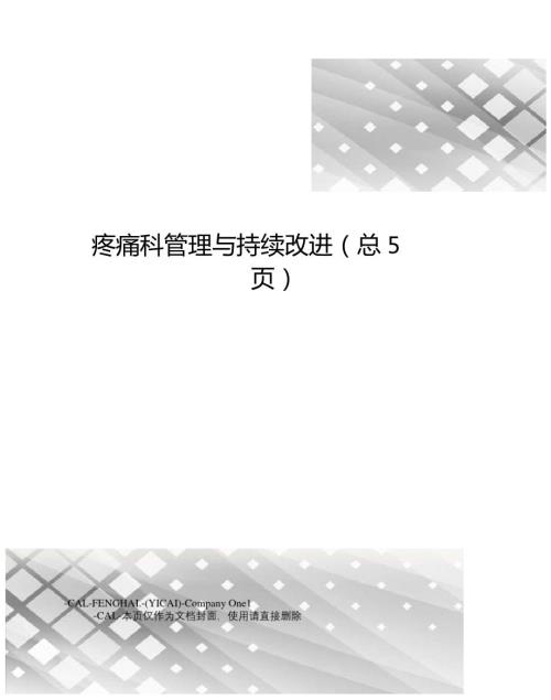疼痛科管理与持续改进总5.doc
